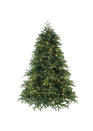Albero natale con luci - di,