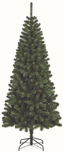 Albero natale kenya - albero, di