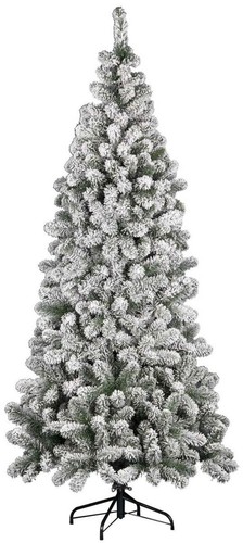 Albero natale kenya - albero,